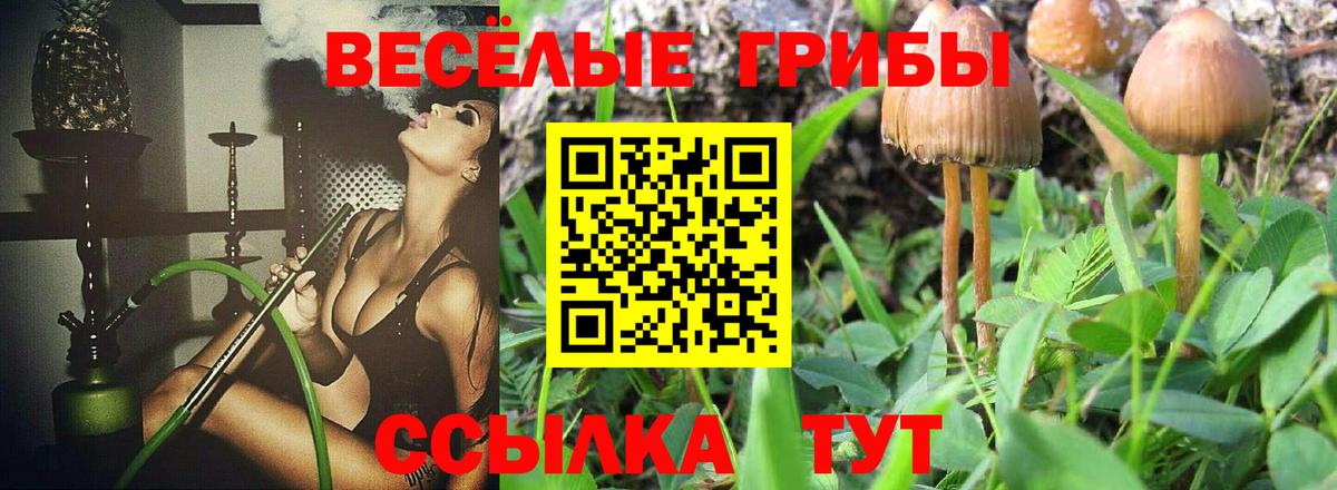 Галлюциногенные грибы Cubensis  Вход с VPN  Воскресенск 