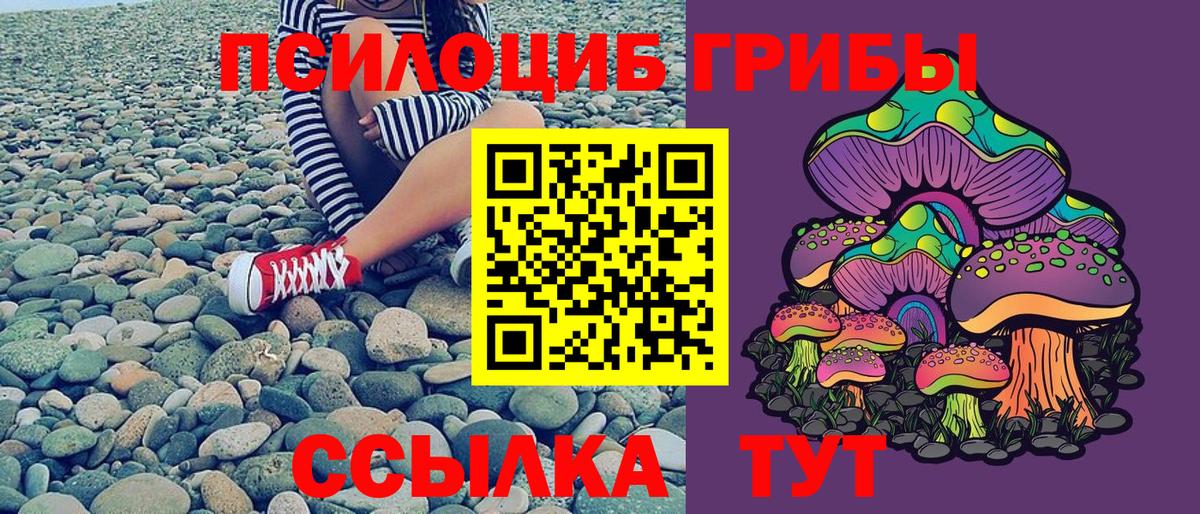Псилоцибиновые грибы Psilocybine cubensis Воскресенск